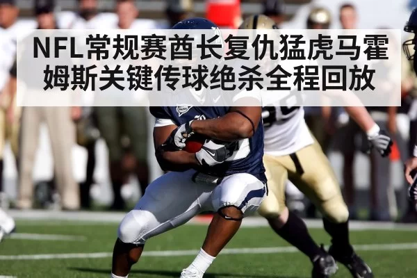 NFL常规赛酋长复仇猛虎马霍姆斯关键传球绝杀全程回放