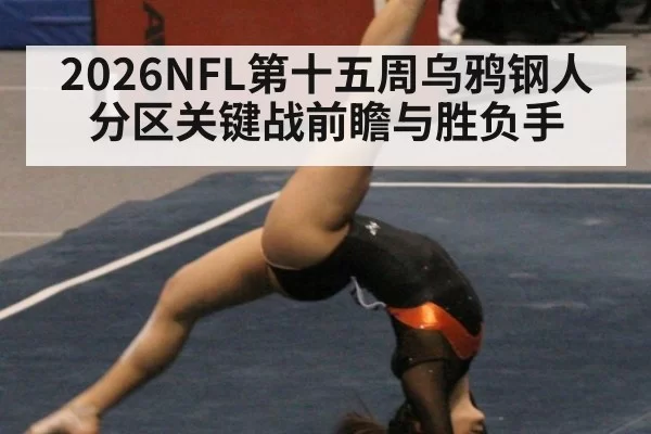 2026NFL第十五周乌鸦钢人分区关键战前瞻与胜负手